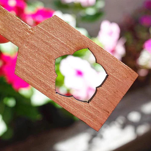 08:日々草「街を彩る花」