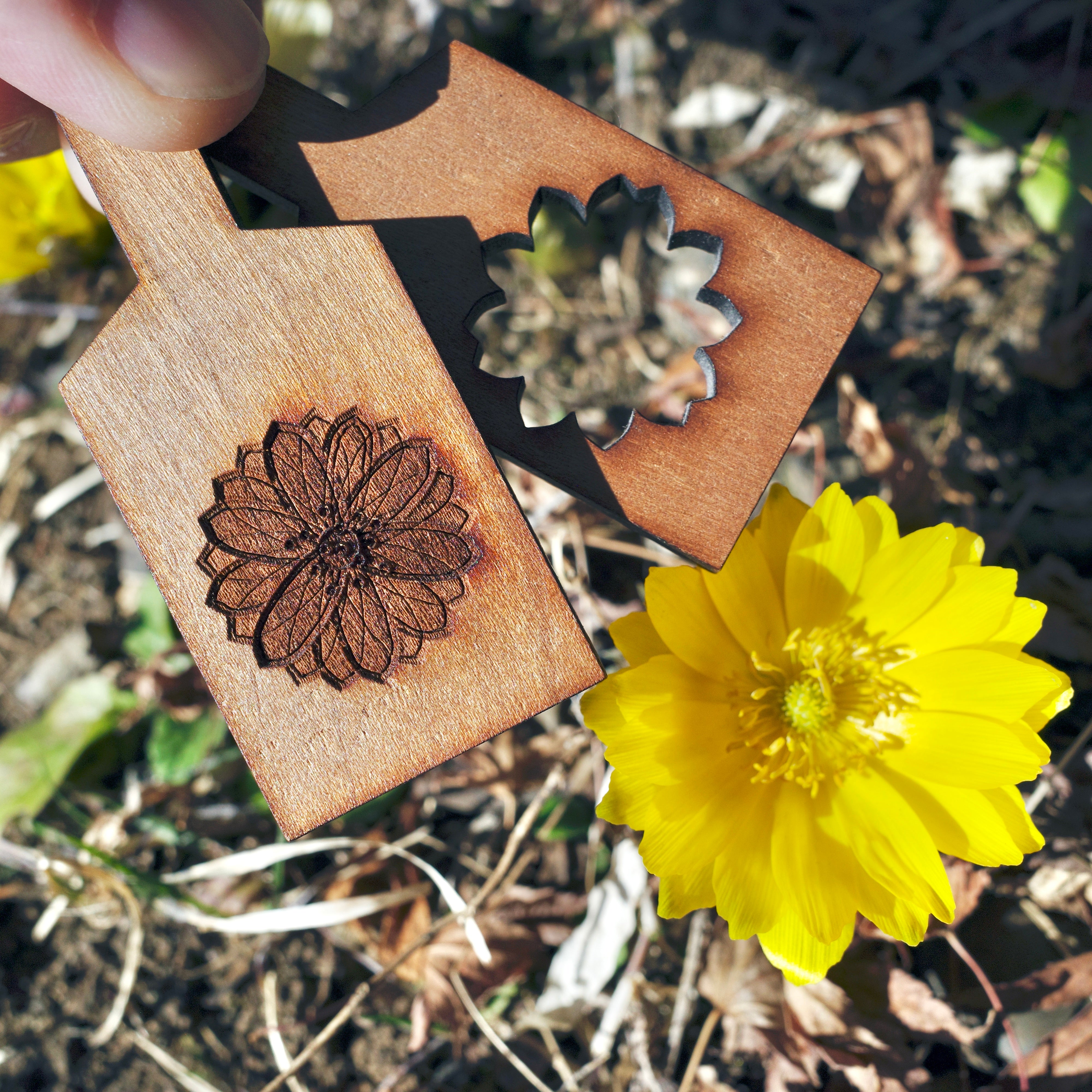 Wooden Keychain 01 [Adonis ramosa]