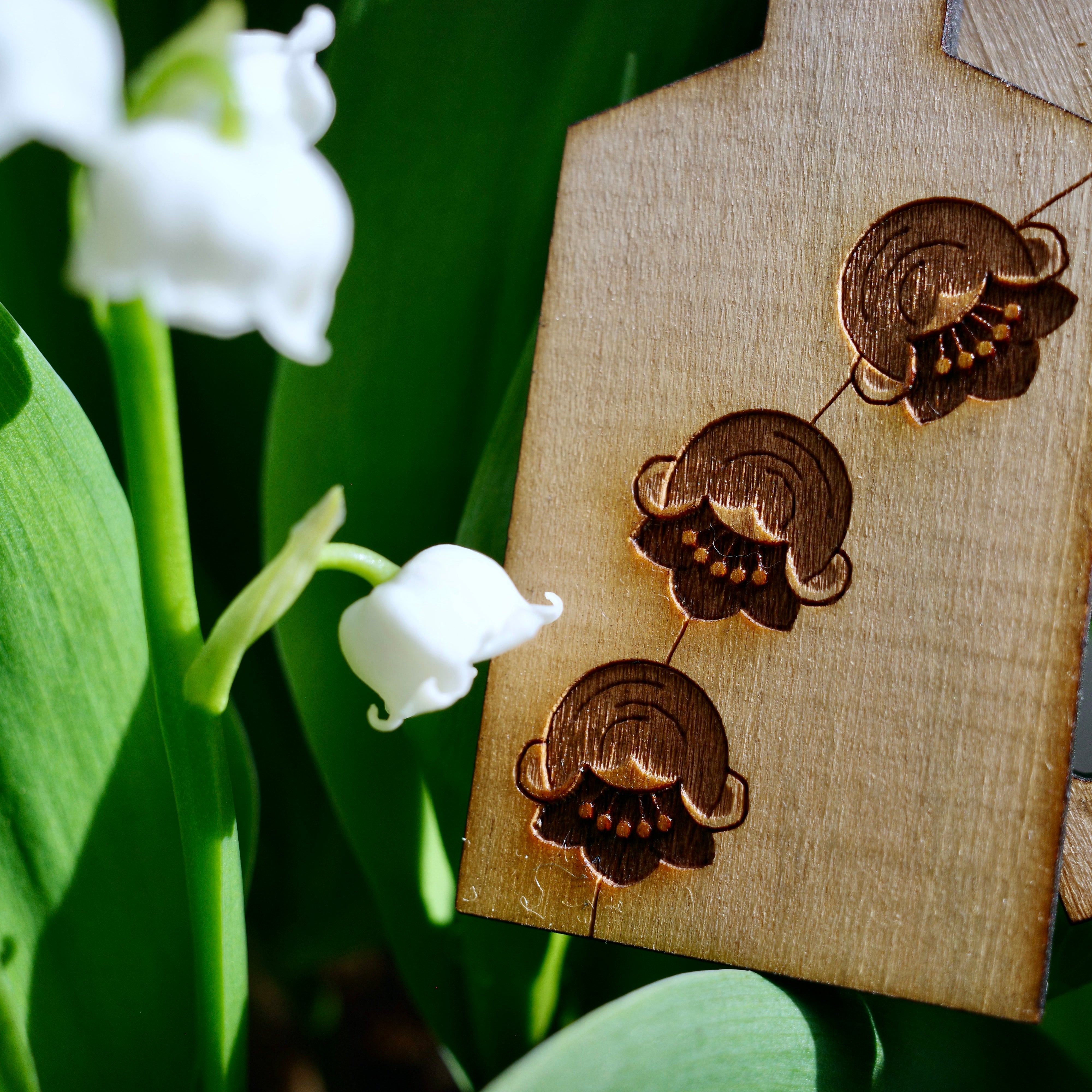 Wooden Keychain 01 [Adonis ramosa]