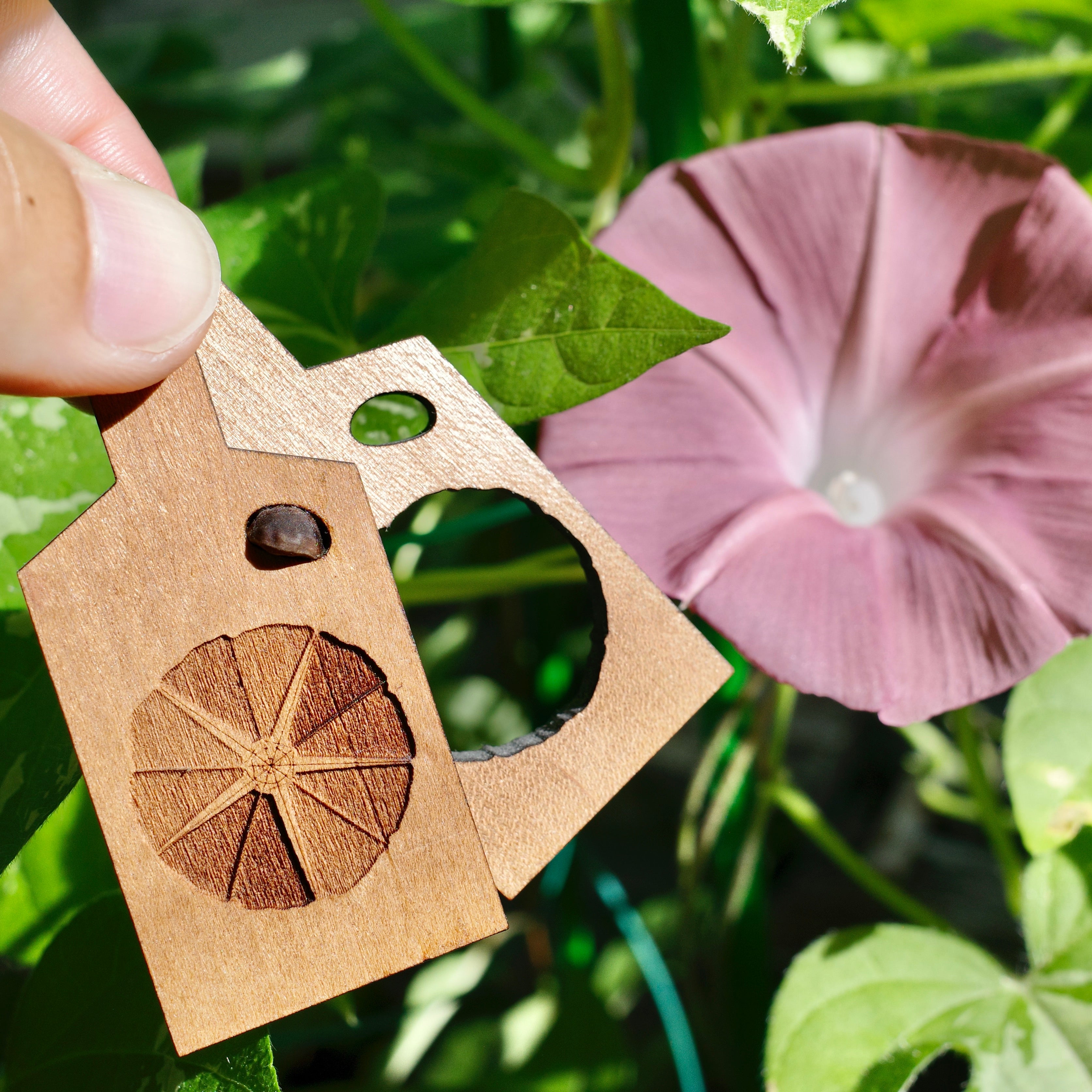Wooden Keychain 07 [Morning Glory]