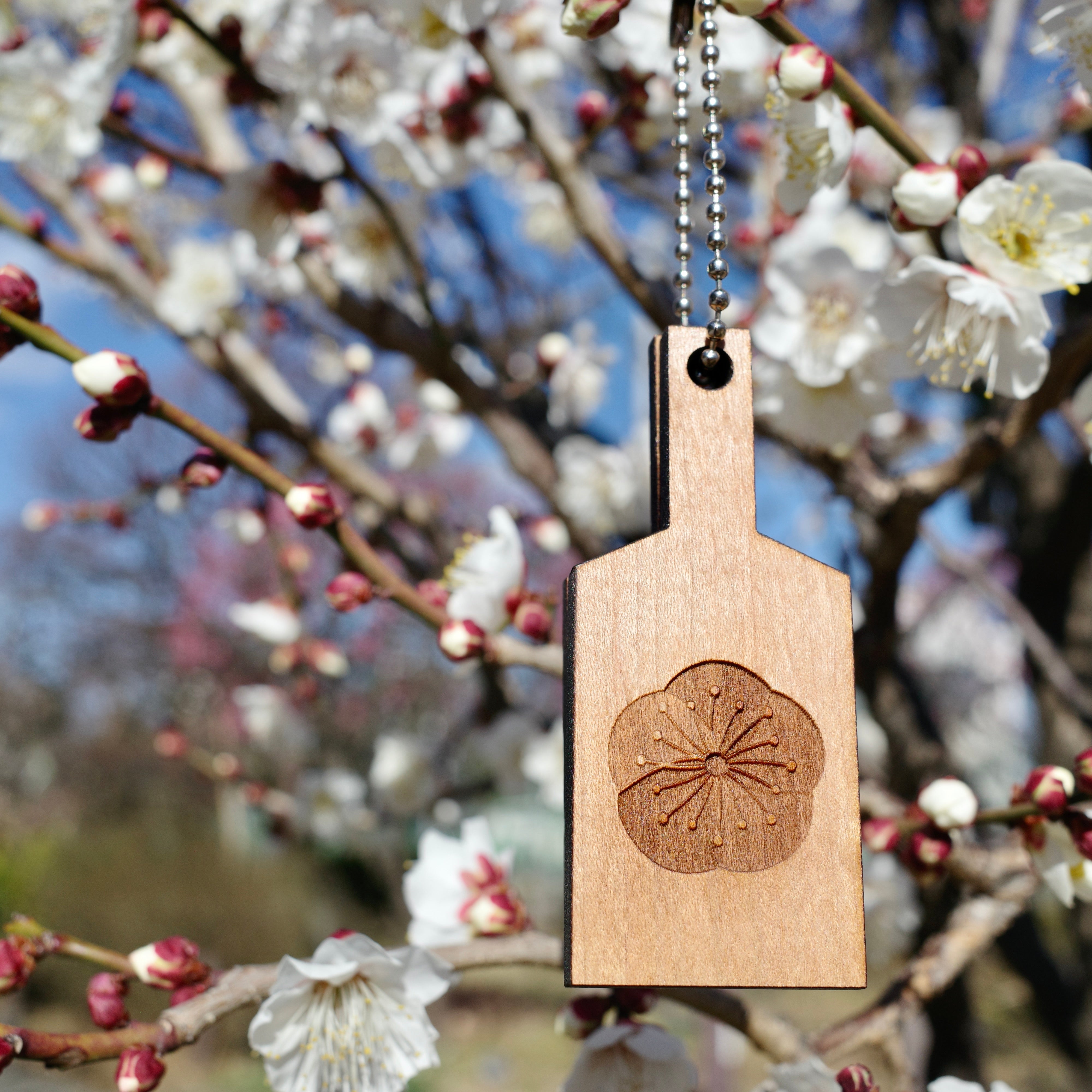 きがたばしトップ