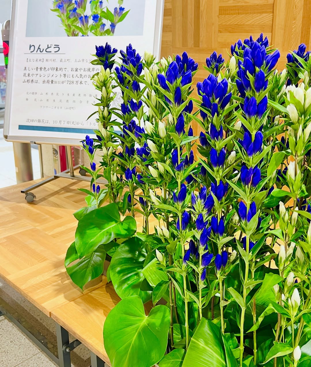 목형 열쇠 고리 01 [복수초]